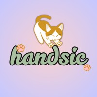 Handsic logo - Similar company to Carrus Network