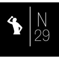 N29 Football Solution logo - Similar company to Sancus Management Group