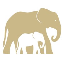 Amily logo - Similar company to Amily Gmbh