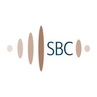 Sounding Board Consultancy logo - Similar company to Saga World