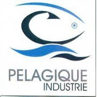 Pélagique Industrie logo - Similar company to Electromecanique
