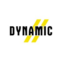 Dynamic.ski logo - Similar company to Skkil