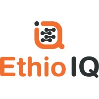 Ethio IQ logo - Similar company to Matrix Information Technology