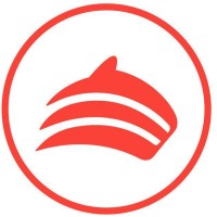 Guepardos