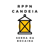 Candeia - Environmental Consulting and Technology logo - Similar company to Minga Peru