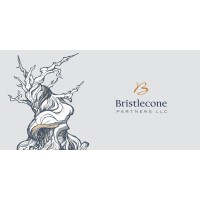 Bristlecone Partners Llc