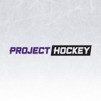 Project Hockey logo - Similar company to Changing The Game Project