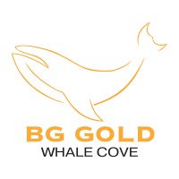 BG Gold logo - Similar company to Datamonk