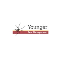 Younger Pest Management logo - Similar company to Pro-Torque Engineering & Project Management