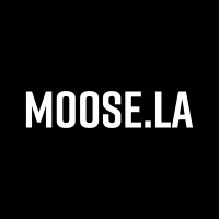 Moose.la logo - Similar company to Infinitistudios