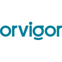 Orvigor Group Sanayi Ticaret Limited Şirketi logo - Similar company to Memleket Gurmesi