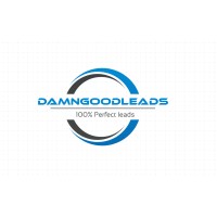 Damngoodleads logo - Similar company to Sastha Solutions