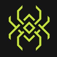 Spiderflow logo - Similar company to Everything Flow - Webflow Professional Partner
