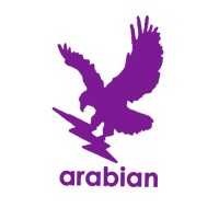 Arabian International Industries LLC logo - Similar company to Transdelta International Industries Llc