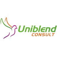 Uniblend Consult logo - Similar company to Test Account
