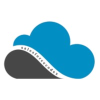 SalesforceCodex logo - Similar company to Colooper
