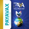 Paya Vaccine Tavana logo - Similar company to Agrovive Biologicals Llc