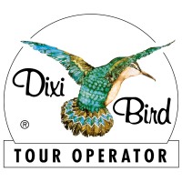 Dixi Bird T.O. logo - Similar company to Chiron Ai