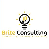 Brite Consulting, LLC. logo - Similar company to Brite Consulting