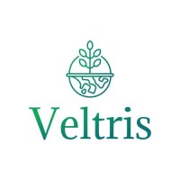 Veltris logo - Similar company to Veltris Llc