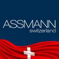 ASSMANN IT-Solutions AG logo - Similar company to Assmann Electronic Gmbh