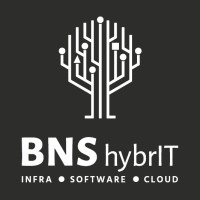 BNS hybrIT logo - Similar company to Serso