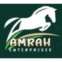 Amrah Enterprises logo - Similar company to Mjs Traders