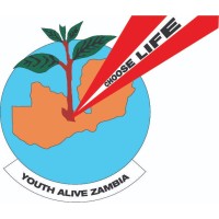 Youth Alive Zambia  HQ logo - Similar company to Chedic Associates