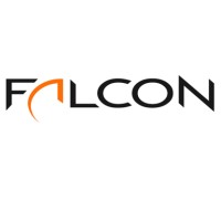Falcon Management Partners logo - Similar company to Vanzul