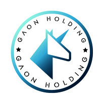 GAON HOLDING logo - Similar company to Novaride