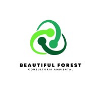 Beautiful Forest