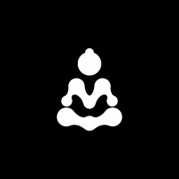 Strategy Monks logo - Similar company to Knometrix