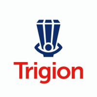Trigion Security Services Ltd logo - Similar company to Mh Security Services
