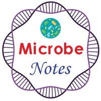 Microbe Notes logo - Similar company to Centre For Microbiology And Environmental Systems Science