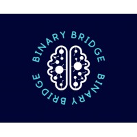 Binary Bridge logo - Similar company to Binarybridge Solutions