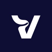 Varvision logo - Similar company to Neronian Studios
