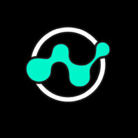 Divergent Solutions logo - Similar company to Real World Hr Solutions
