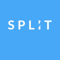Split logo - Similar company to Forerunner Advisory