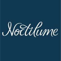 Noctilume logo - Similar company to Ax Studio