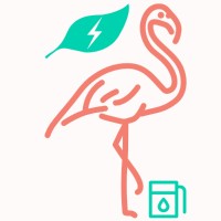 Alpine Flamingo