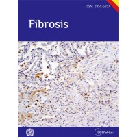 Fibrosis logo - Similar company to Respirology