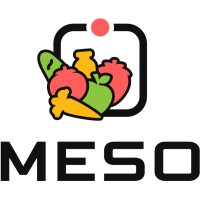 MESO.ai logo - Similar company to 518