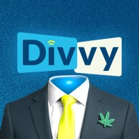 Divvy Digital logo - Similar company to Budvue