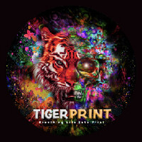 Tiger Print North East logo - Similar company to Digital Futures Programme