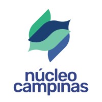 Núcleo das Empresas Juniores da Região Campinas logo - Similar company to Fejesp