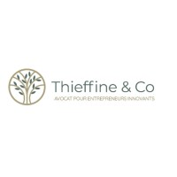 Thieffine & Co logo - Similar company to Stragestim
