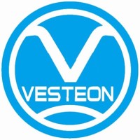 Shandong Vesteon Automotive Parts Co,Ltd