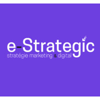 e-Strategic logo - Similar company to Mmo Techno - First Cioaas Provider