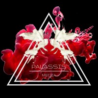 PALASSIS Media logo - Similar company to Wakagrowth