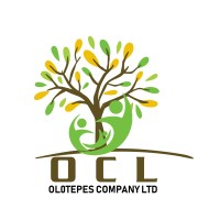 Olotepesi Company Limited logo - Similar company to Digital Pulse 365